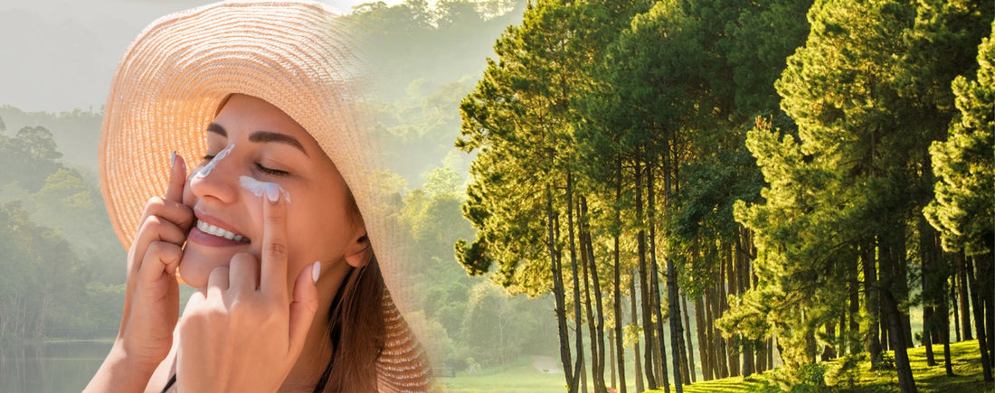 The Journey of Kheoni's Ingredients: From Forest to Your Skin