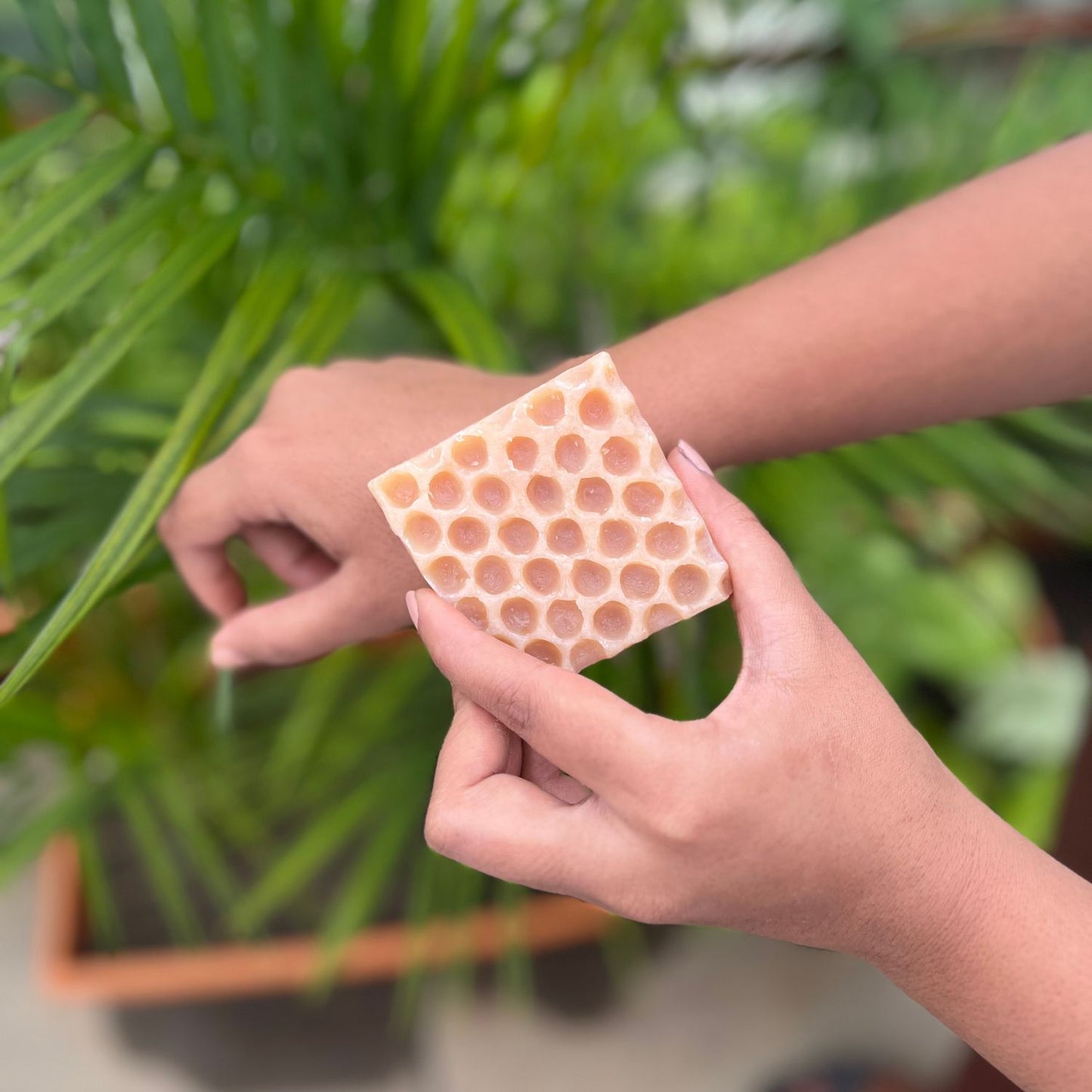 Sandalwood Honeycomb Beeswax Soap