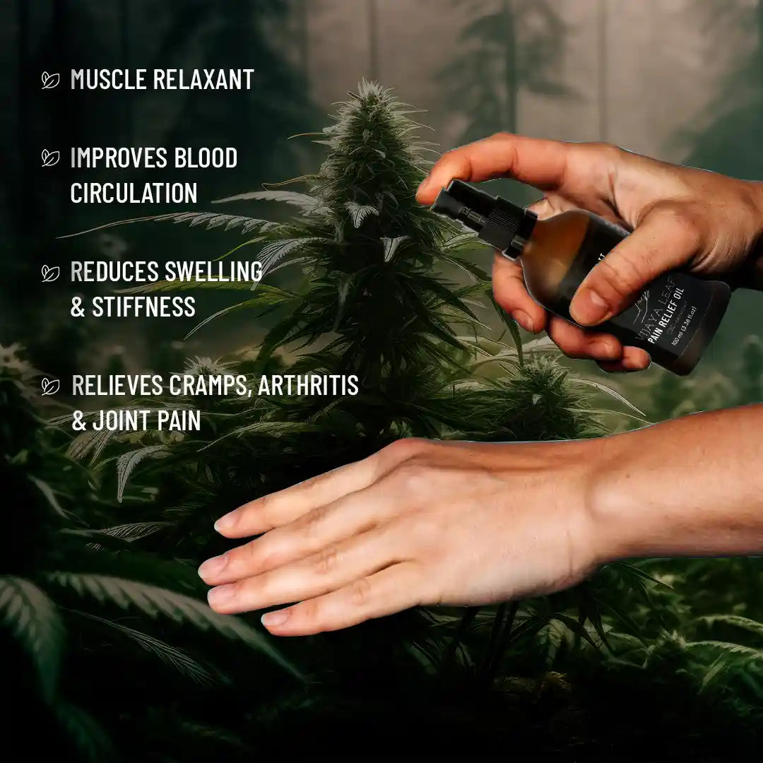 Vijaya Leaf Pain Relief Oil