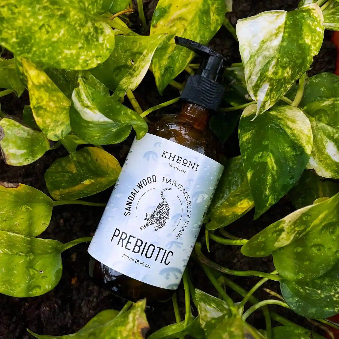 Prebiotic Sandalwood  | 3-in-1 Hair, Face & Body Wash