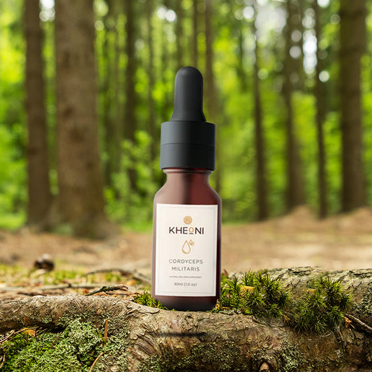 Cordyceps Militaris