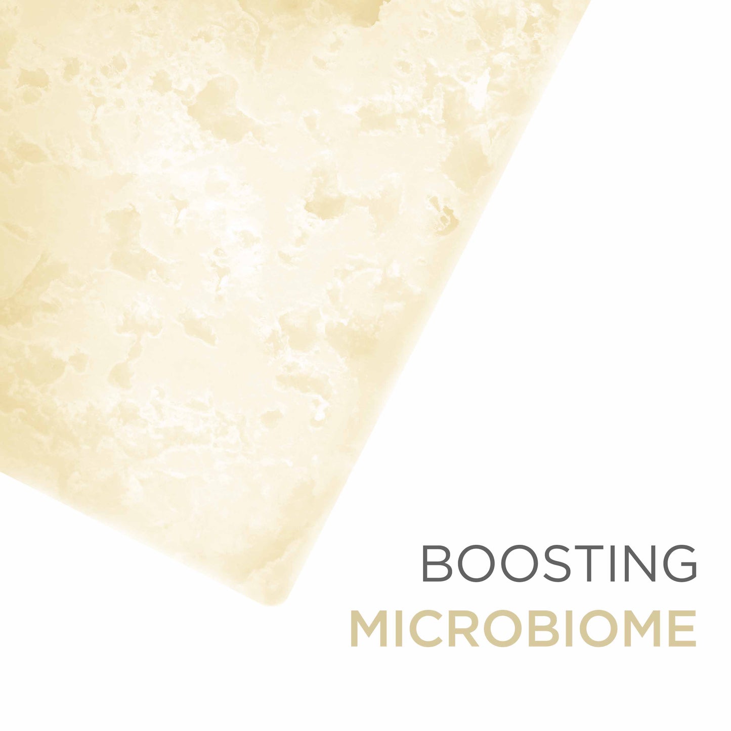 Probiotic Sandalwood | Charcoal Active Bath Bar