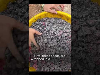 Body Butter Bar | Natural Moisturizer for Dry Skin