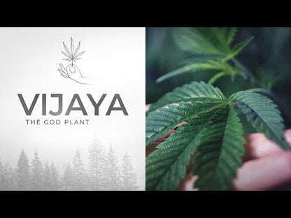 Vijaya Leaf Roll On
