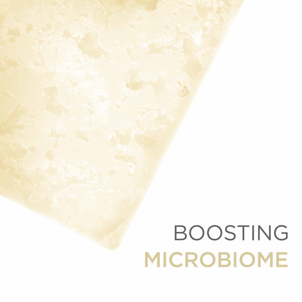 Probiotic Almond | Hemp | Rose Active Bath Bar 120gm